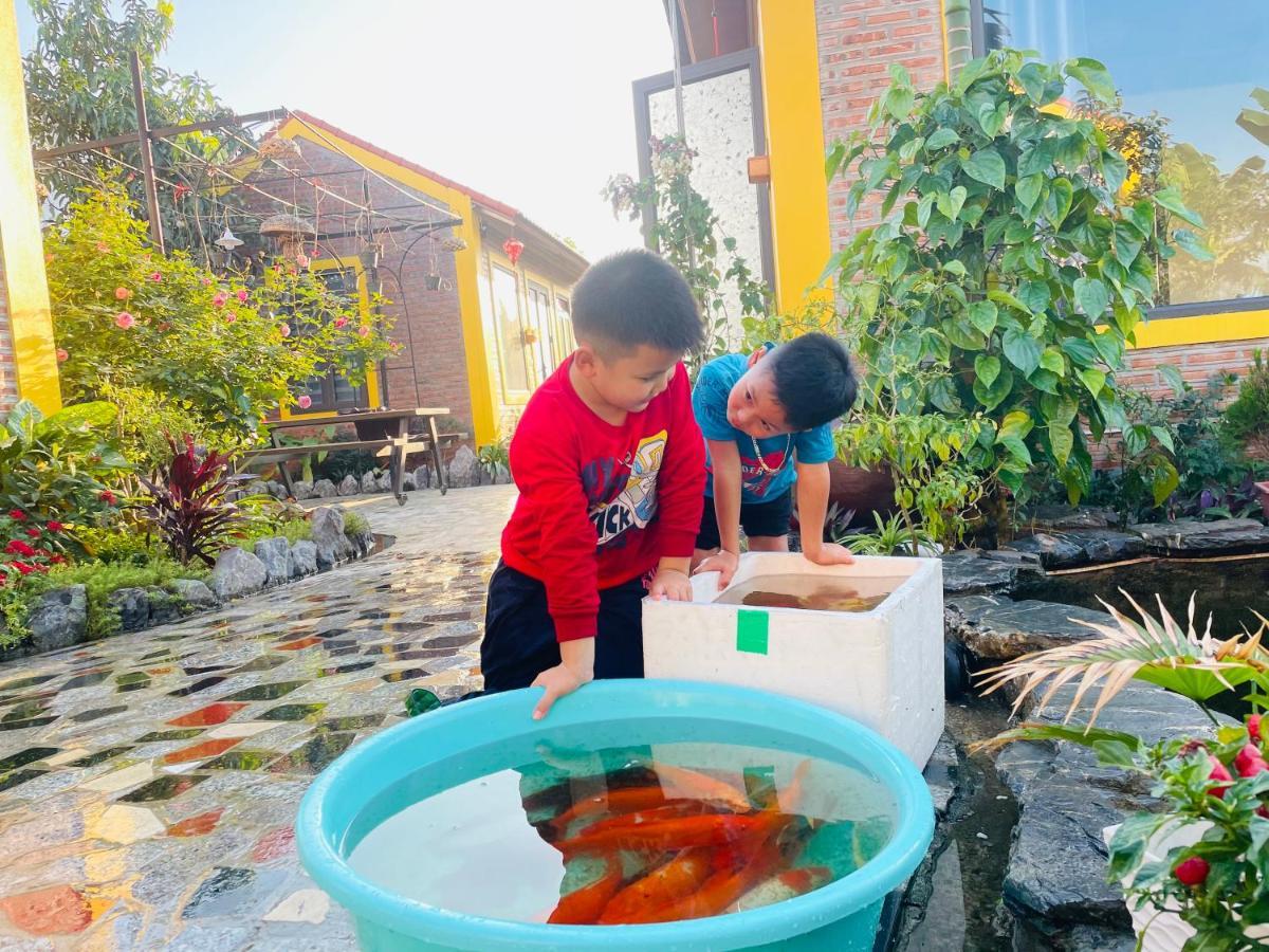 Ninh Binh Royal Homestay エクステリア 写真